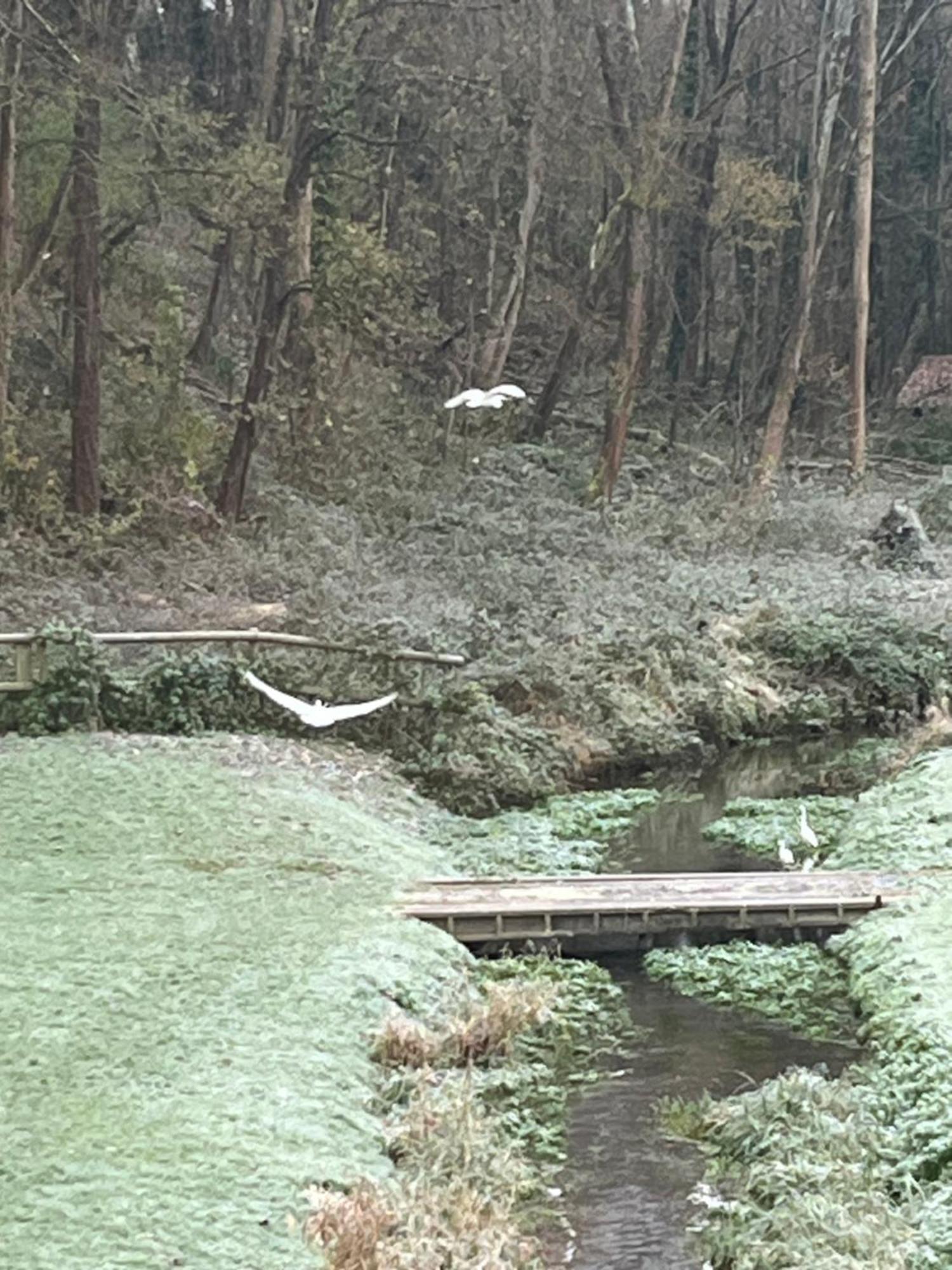 Le Vieux Moulin Chamant Senlis 60300 Leilighet Eksteriør bilde